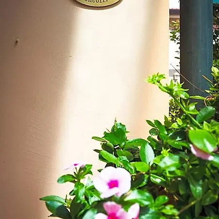 Hotel Sonia Forte dei Marmi