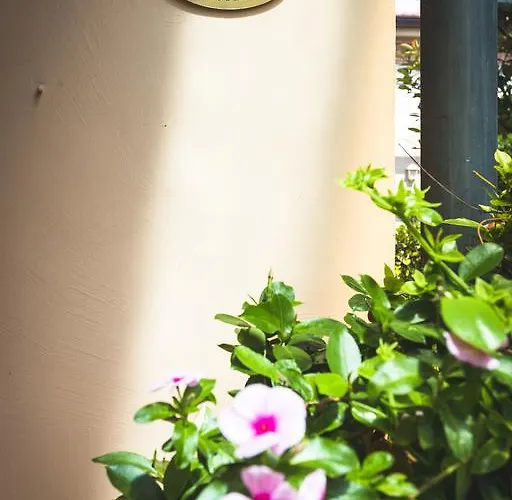 Sonia 3* Forte dei Marmi